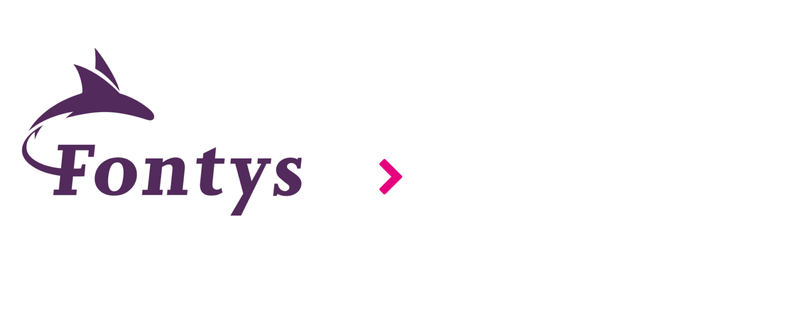 fontys-for-society-logo-3
